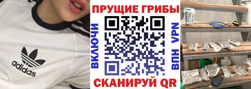 kraken как зайти  купить   Ленинградская  Псилоцибиновые грибы ЛСД 