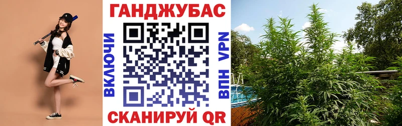 Бошки марихуана ГИДРОПОН  закладка  блэк спрут маркетплейс  Ленинградская 